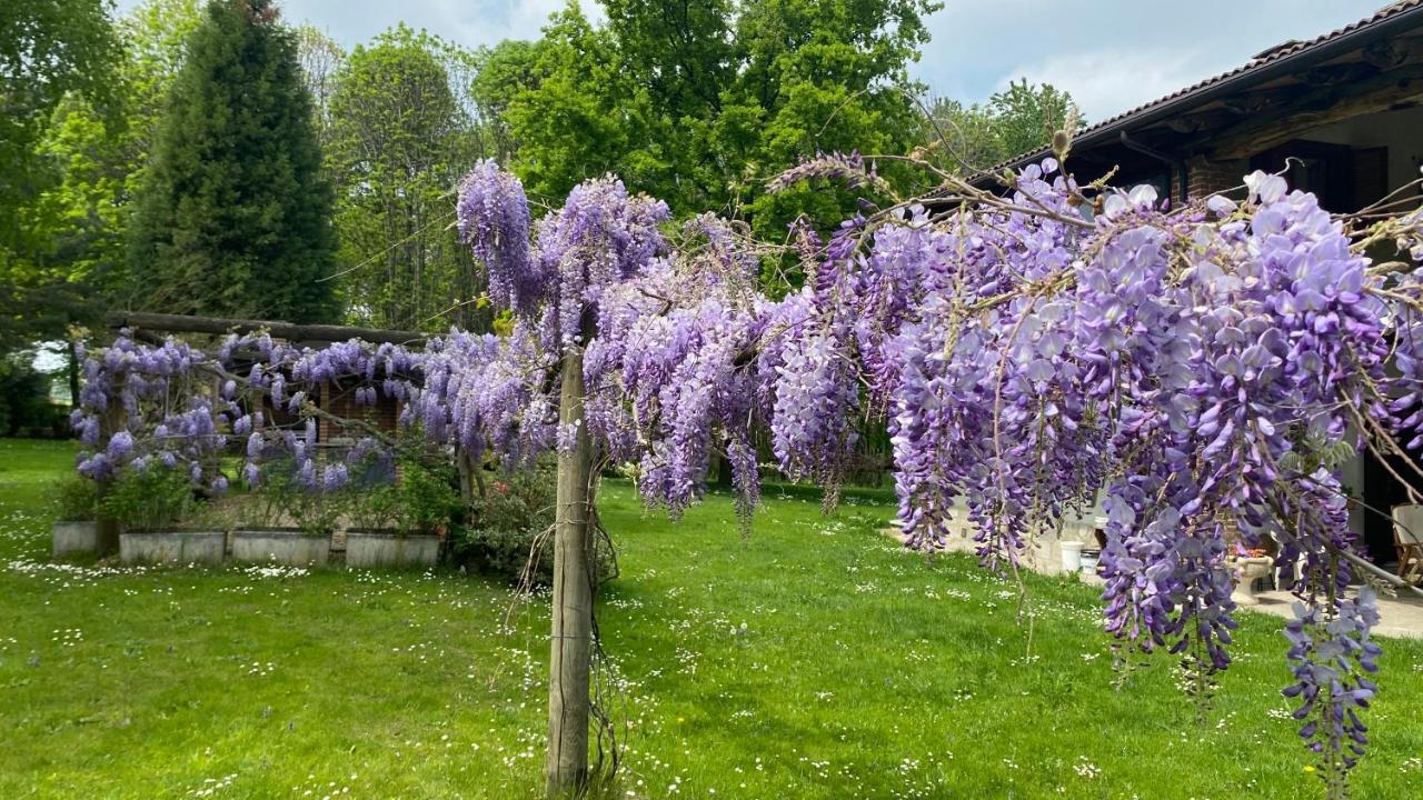 Villa Giulia - Marguareis Peveragno Exteriör bild